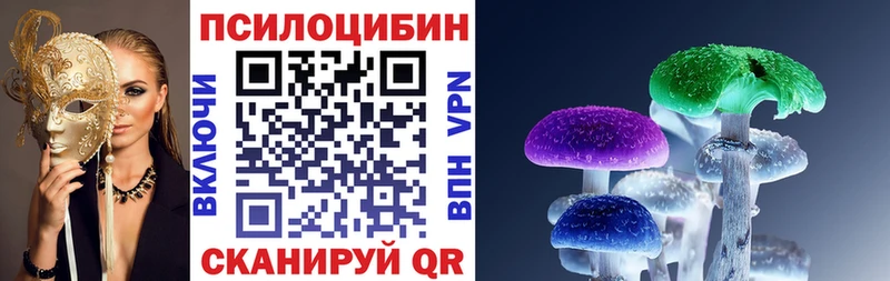 Псилоцибиновые грибы Psilocybe  купить наркоту  Хасавюрт 